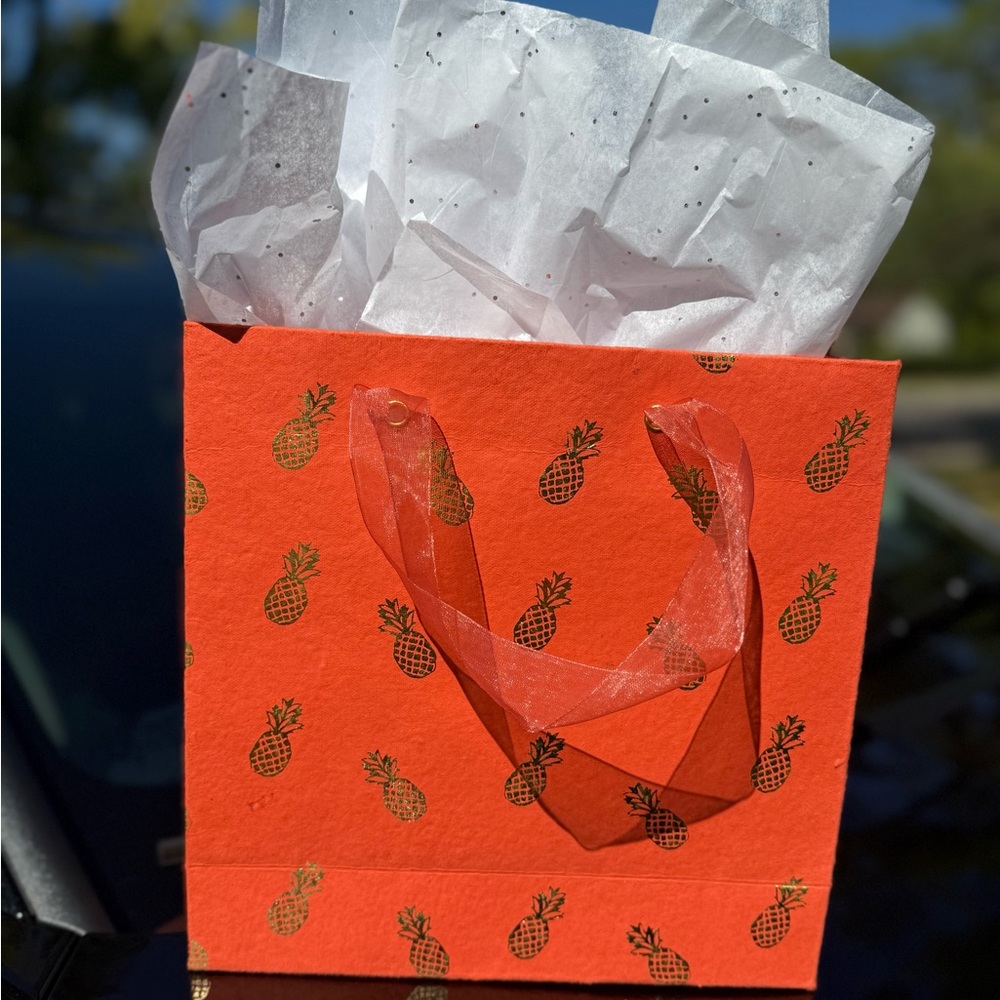 Surprise Bundle ❤️MYSTERY BAG Orange Pineapple Gift Bag with Ribbon Handles🧡🩷🩷